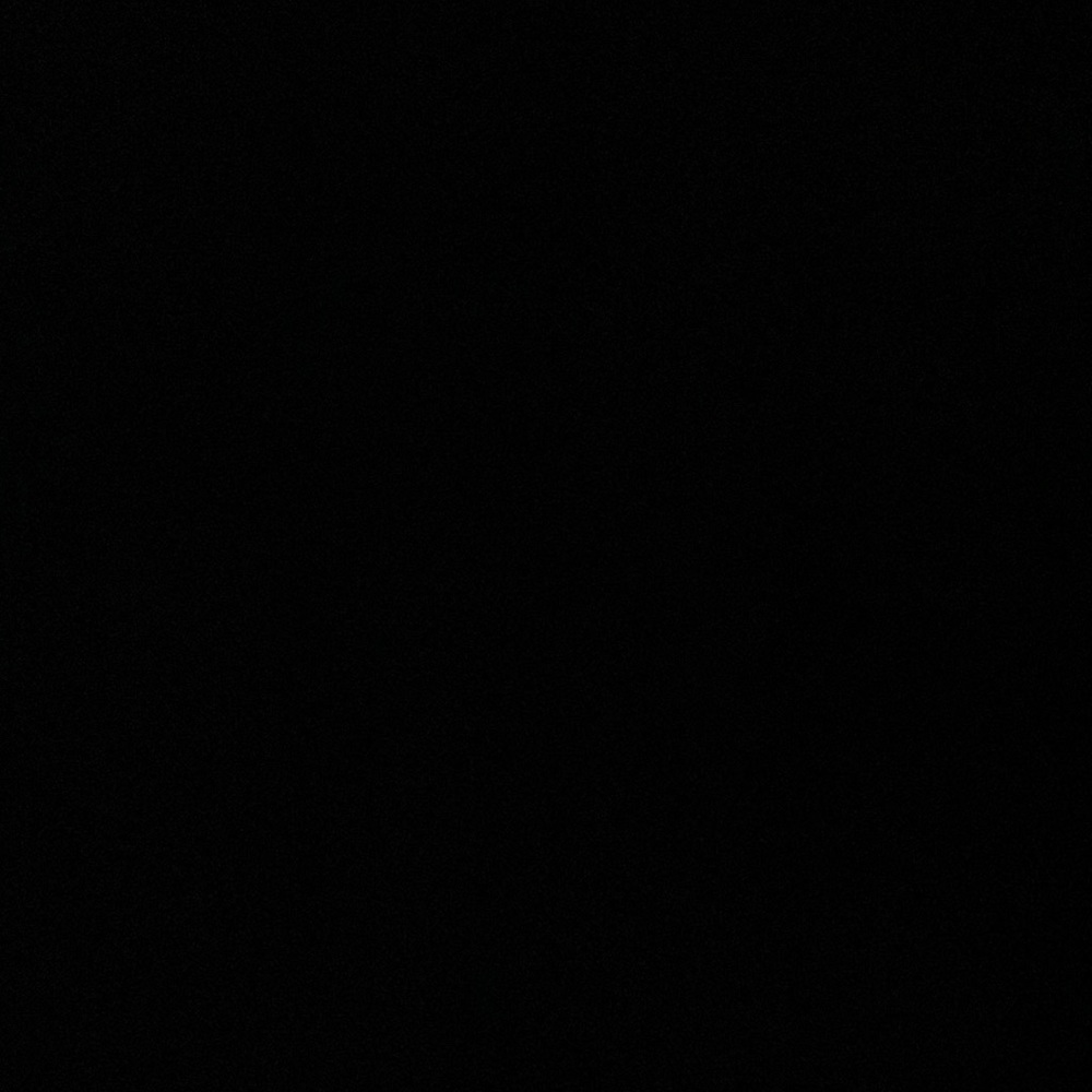 Meet your Posher, Ava